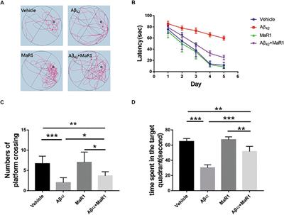 Maresin 1 Improves Cognitive Decline and Ameliorates Inflammation in a Mouse Model of Alzheimer’s Disease